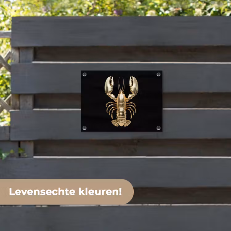 Tuinposter - Kreeft - Goud - Textuur - Zwart — 6