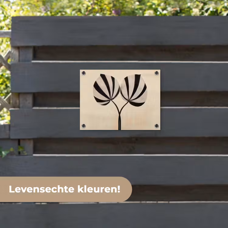 Tuinposter - Bladeren - Gestreept - Stengel - Beige — 6