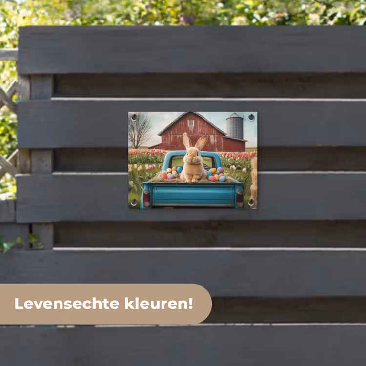Tuinposter - Konijn - Boerderij - Eieren — 6