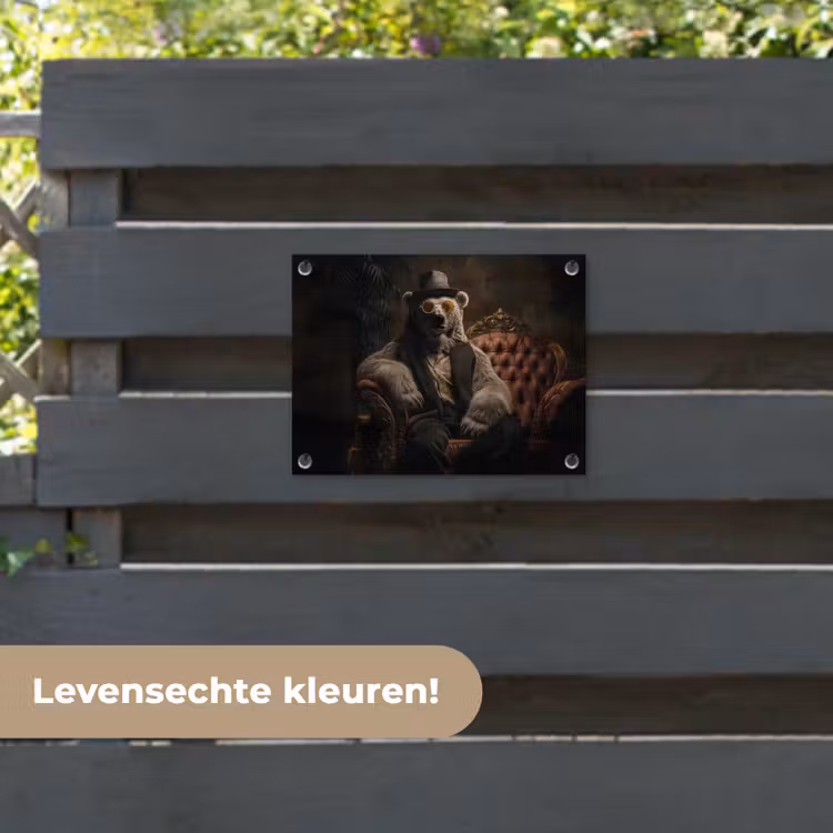 Tuinposter - Ijsbeer - Hoed - Bril - Stoel — 6