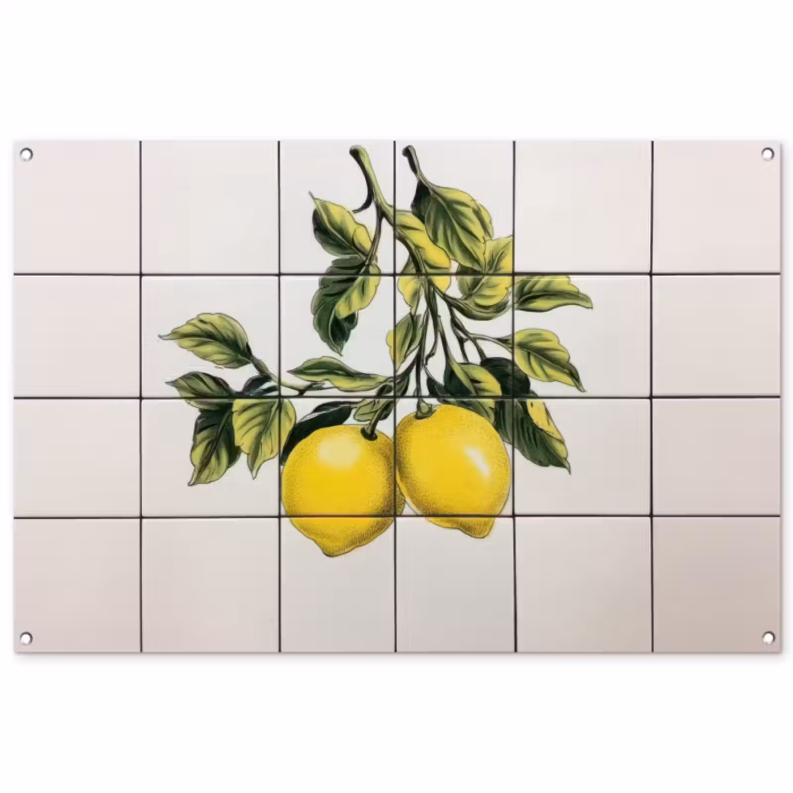 Tuinposter - Citroen - Decoratie - Keramiek - Takken — 1
