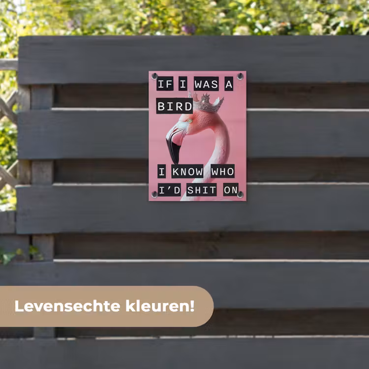 Tuinposter - Flamingo - Roze - Vogel - Decoratie — 6