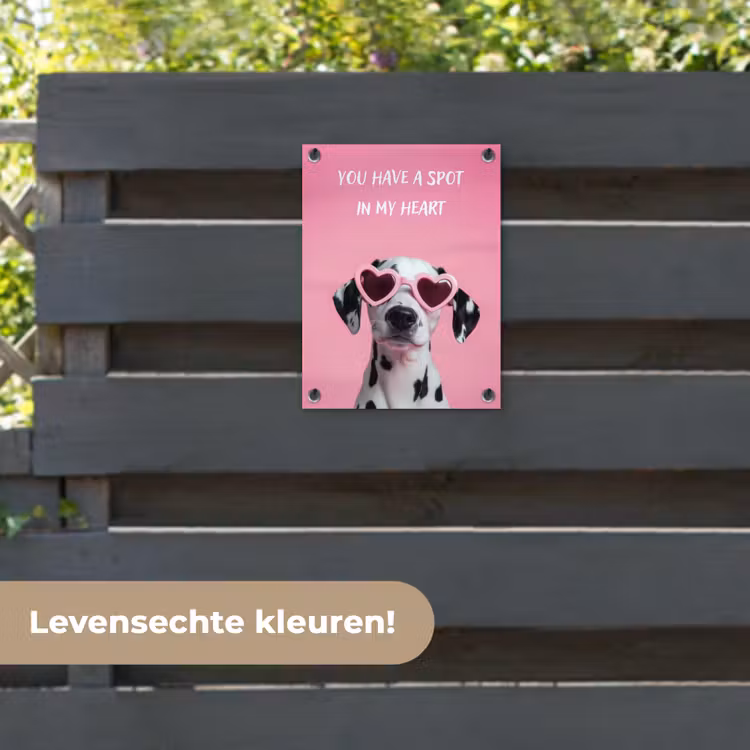 Tuinposter - Hartjes - Hond - Valentijn - Roze — 6