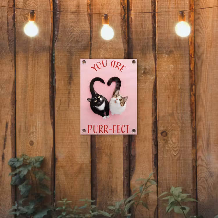Tuinposter - Kat - Hart - Tekst - Valentijn — 3