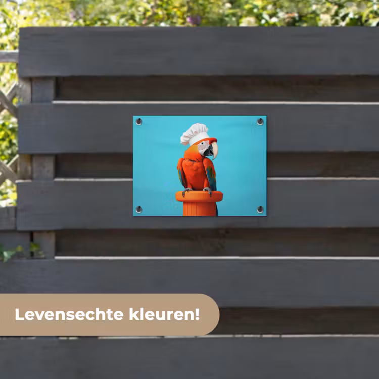 Tuinposter - Ara - Koksmuts - Sokkel - Grappig — 6