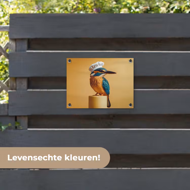 Tuinposter - Ijsvogel - Pilaar - Koksmuts - Vogel — 6