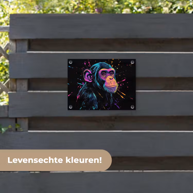 Tuinposter - Aap - Verf - Neon - Kleur — 6
