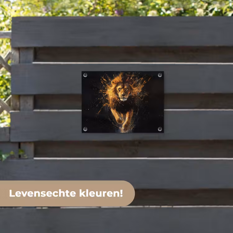 Tuinposter - Leeuw - Zwart - Oranje - Verf — 6