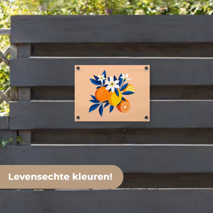 Tuinposter - Illustratie - Sinaasappels - Donkerblauw - Bloemen — 6