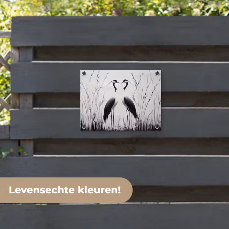Tuinposter - Kraanvogels - Gras - Hartvorm - Zwart — 6