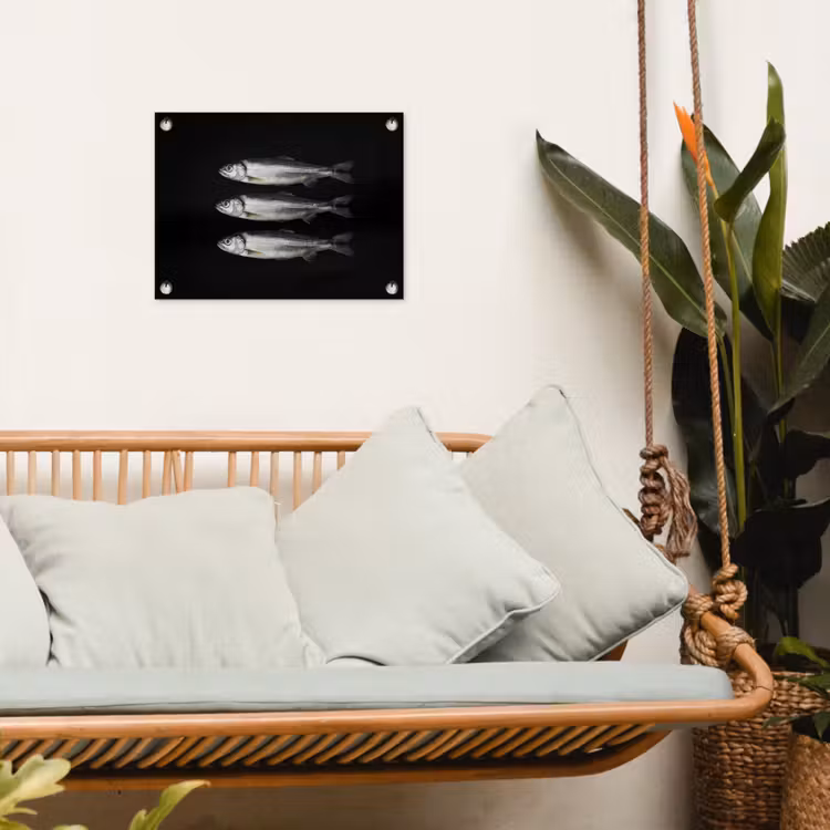 Tuinposter - Haring - Vissen - Zwart — 4