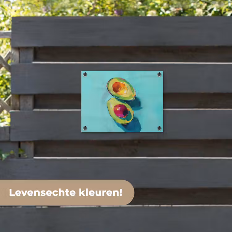 Tuinposter - Avocado - Groen - Pit - Schaduw — 6