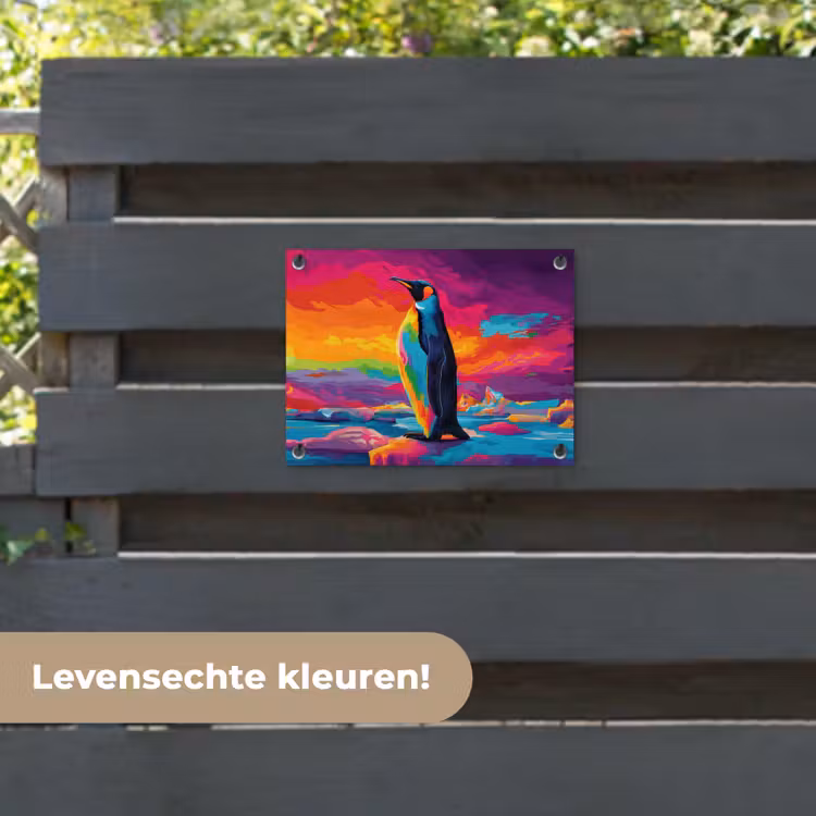 Tuinposter - Ijsschots - Pinguïn - Abstract - Lucht — 6