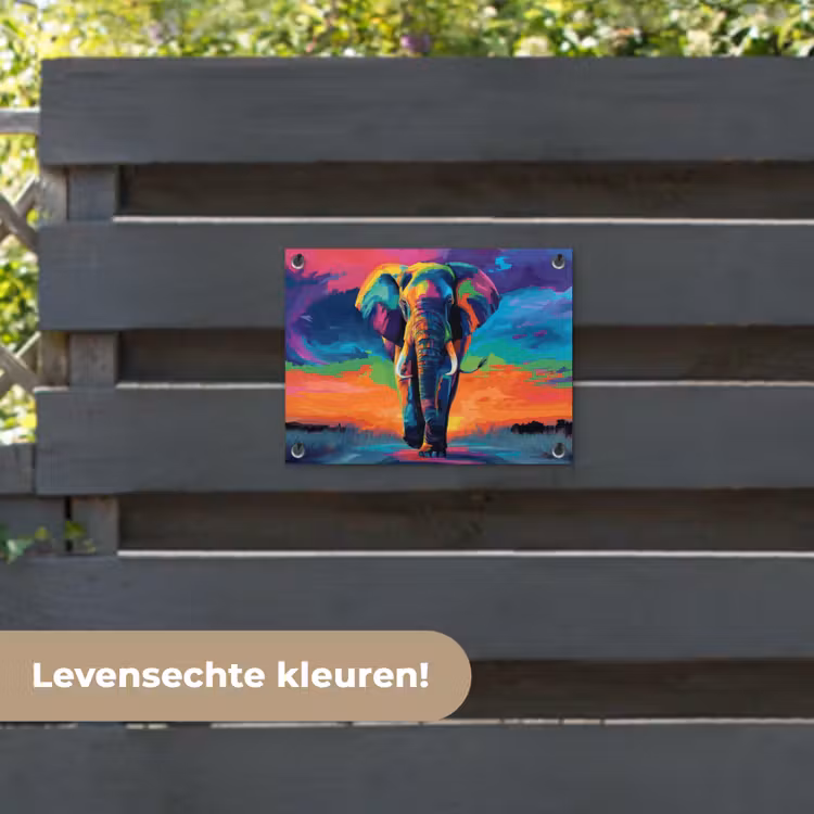 Tuinposter - Olifant - Kleurrijk - Lucht - Abstract — 6