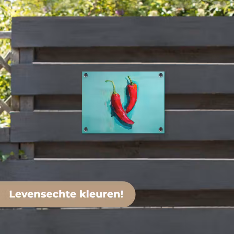 Tuinposter - Chilipepers - Geverfd - Rood — 6