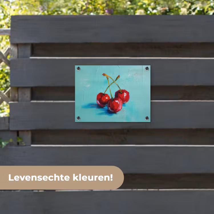 Tuinposter - Kersen - Rood - Drie - Geverfd — 6