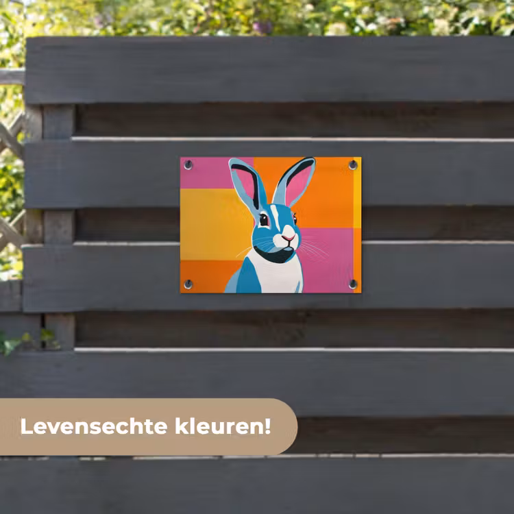 Tuinposter - Haas - Kleurvakken - Oren - Roze — 6