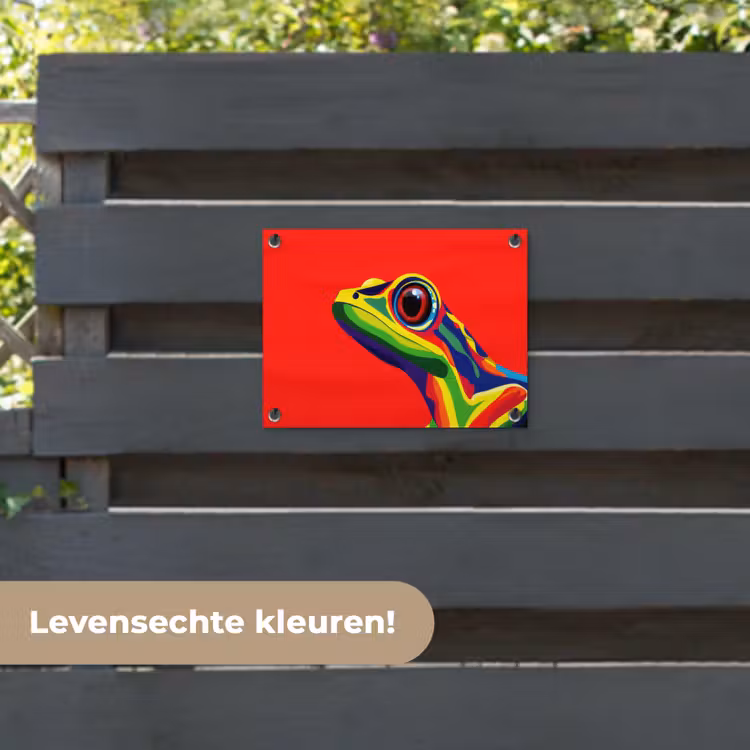 Tuinposter - Kikker - Kleurrijk - Strepen - Ogen — 6