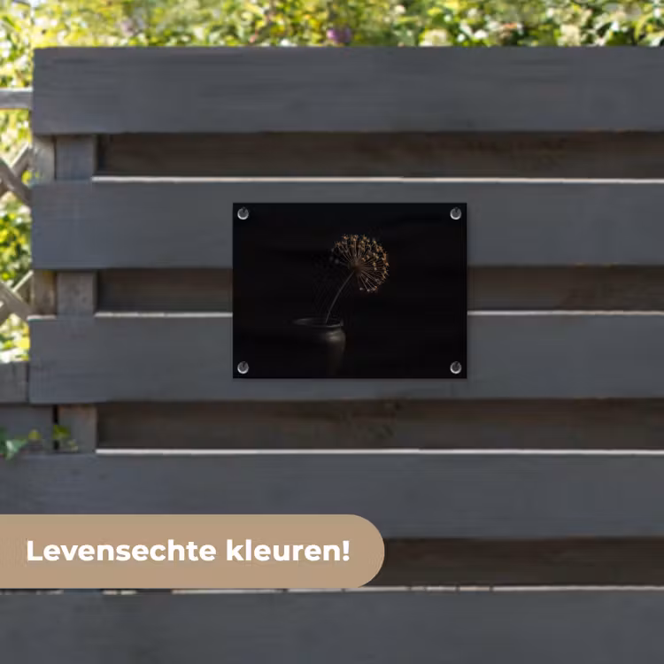 Tuinposter - Bol - Gedroogd - Vaas - Zwart — 6