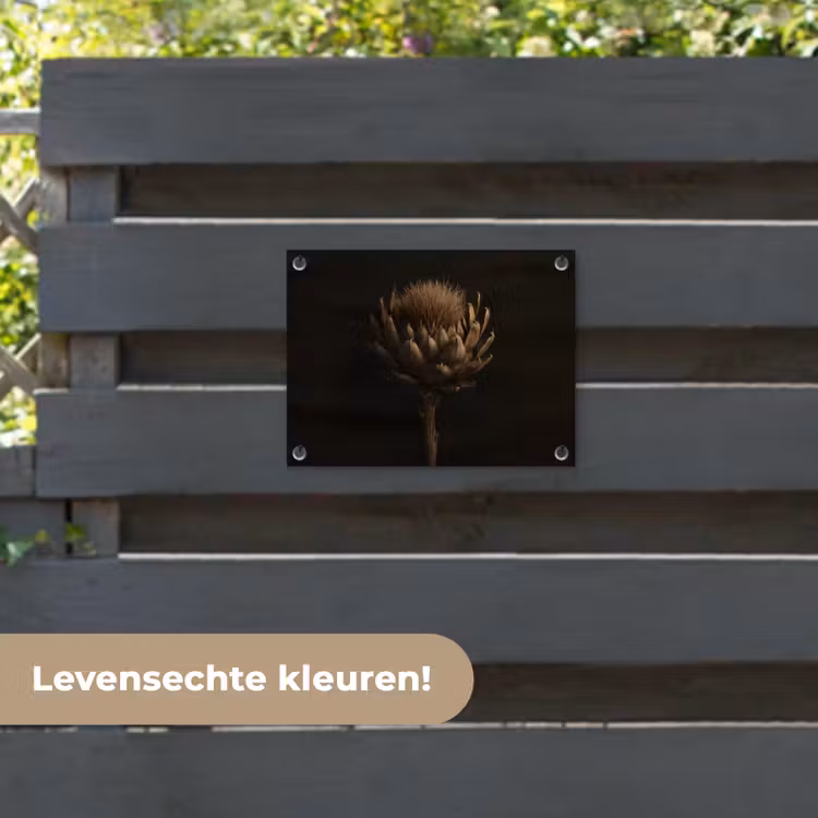 Tuinposter - Donkerbruin - Bloem - Textuur - Artisjok — 6