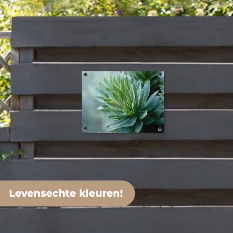 Tuinposter - Blad - Plant - Groen - Textuur — 6