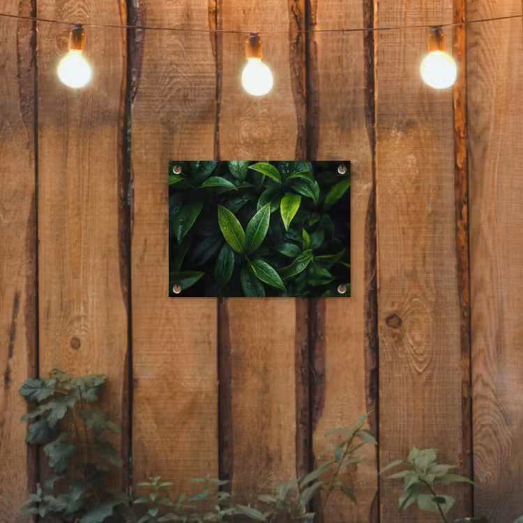 Tuinposter - Bladeren - Regendruppels - Licht - Groen — 3