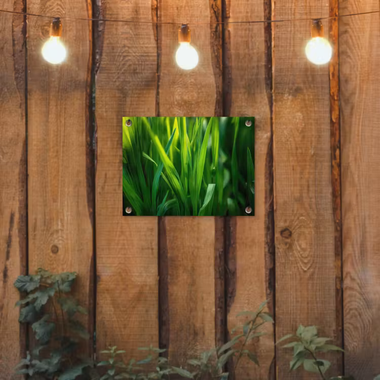 Tuinposter - Grassprieten - Lichtinval - Groen — 3