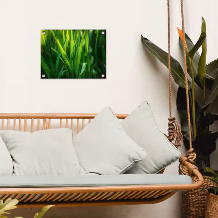 Tuinposter - Grassprieten - Lichtinval - Groen — 4
