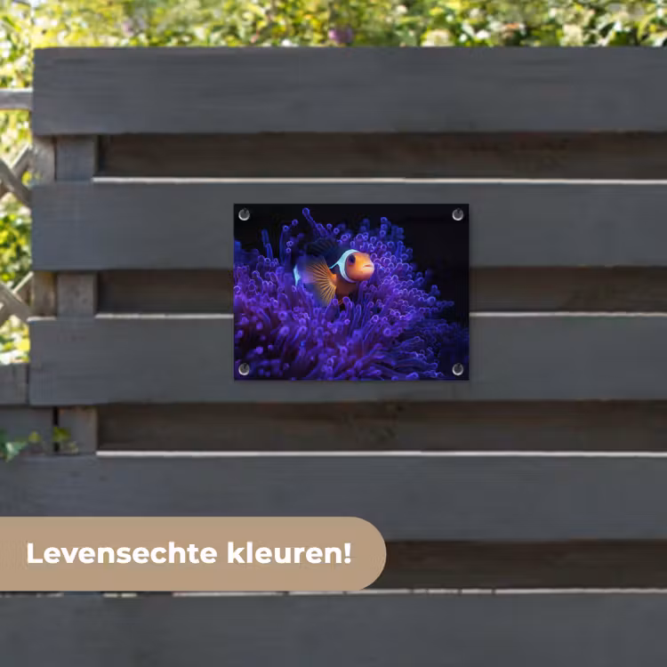 Tuinposter - Koraal - Vis - Oranje - Zee — 6