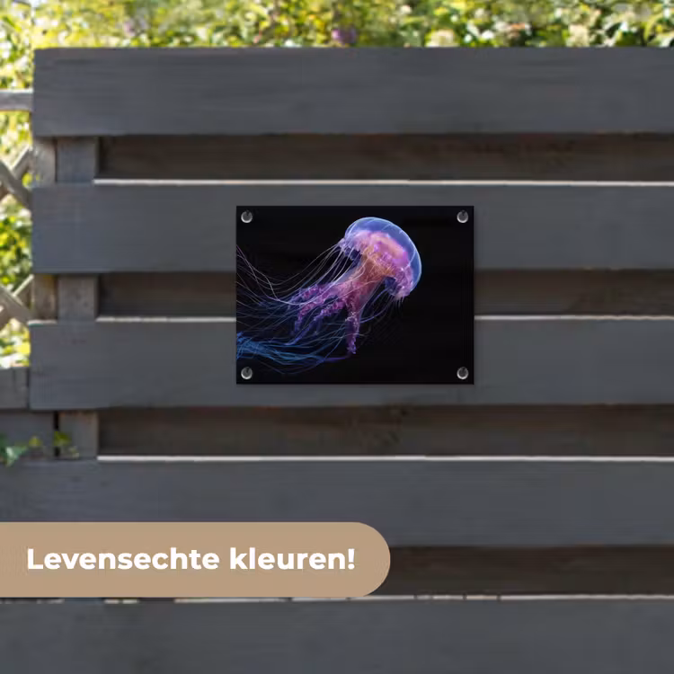 Tuinposter - Kwal - Doorzichtig - Roze - Tentakels — 6