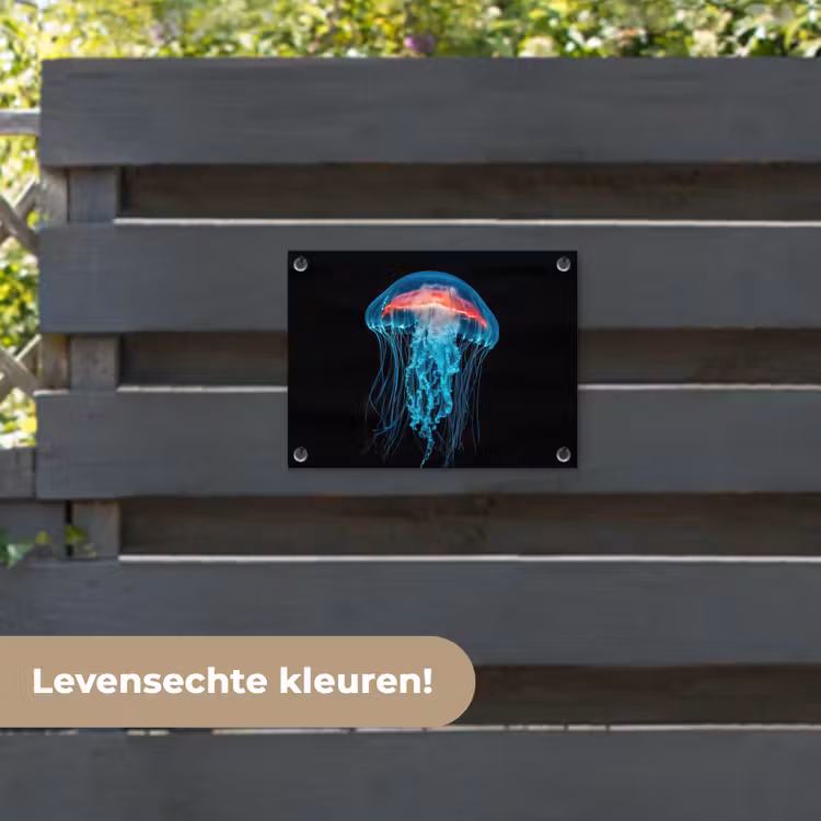 Tuinposter - Kwal - Tentakels - Blauw - Licht — 6