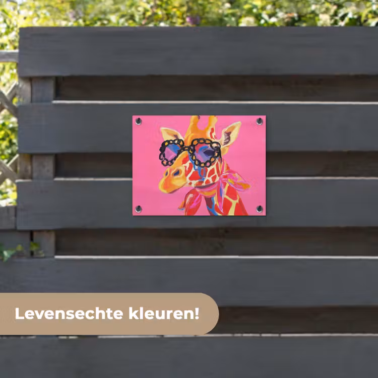 Tuinposter - Giraf - Roze - Bril - Sjaal — 6