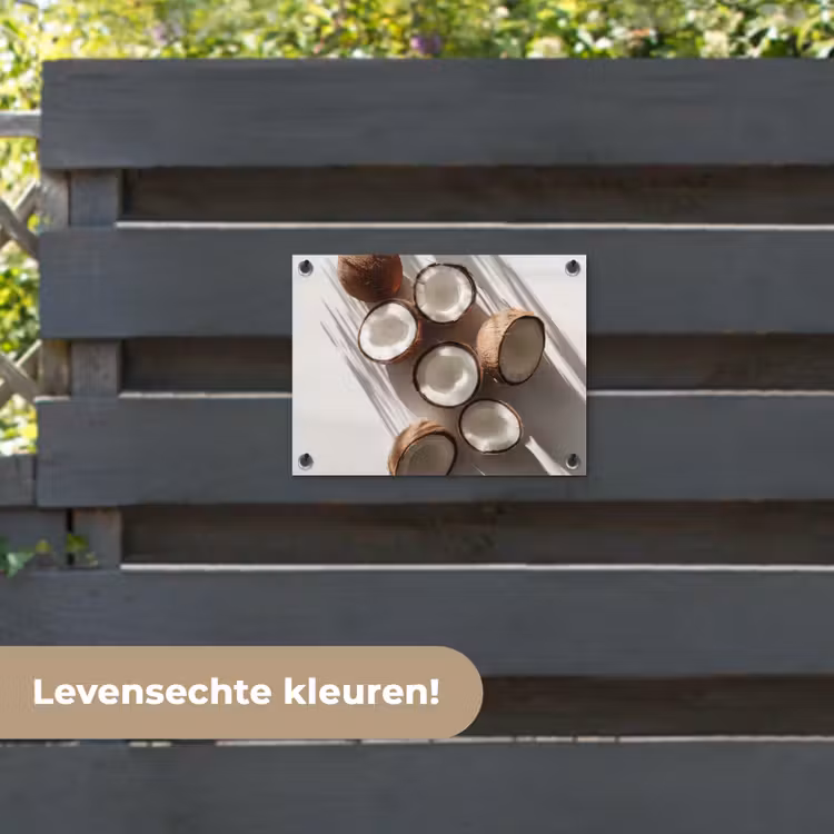 Tuinposter - Kokosnoten - Bruin - Shaduw — 6