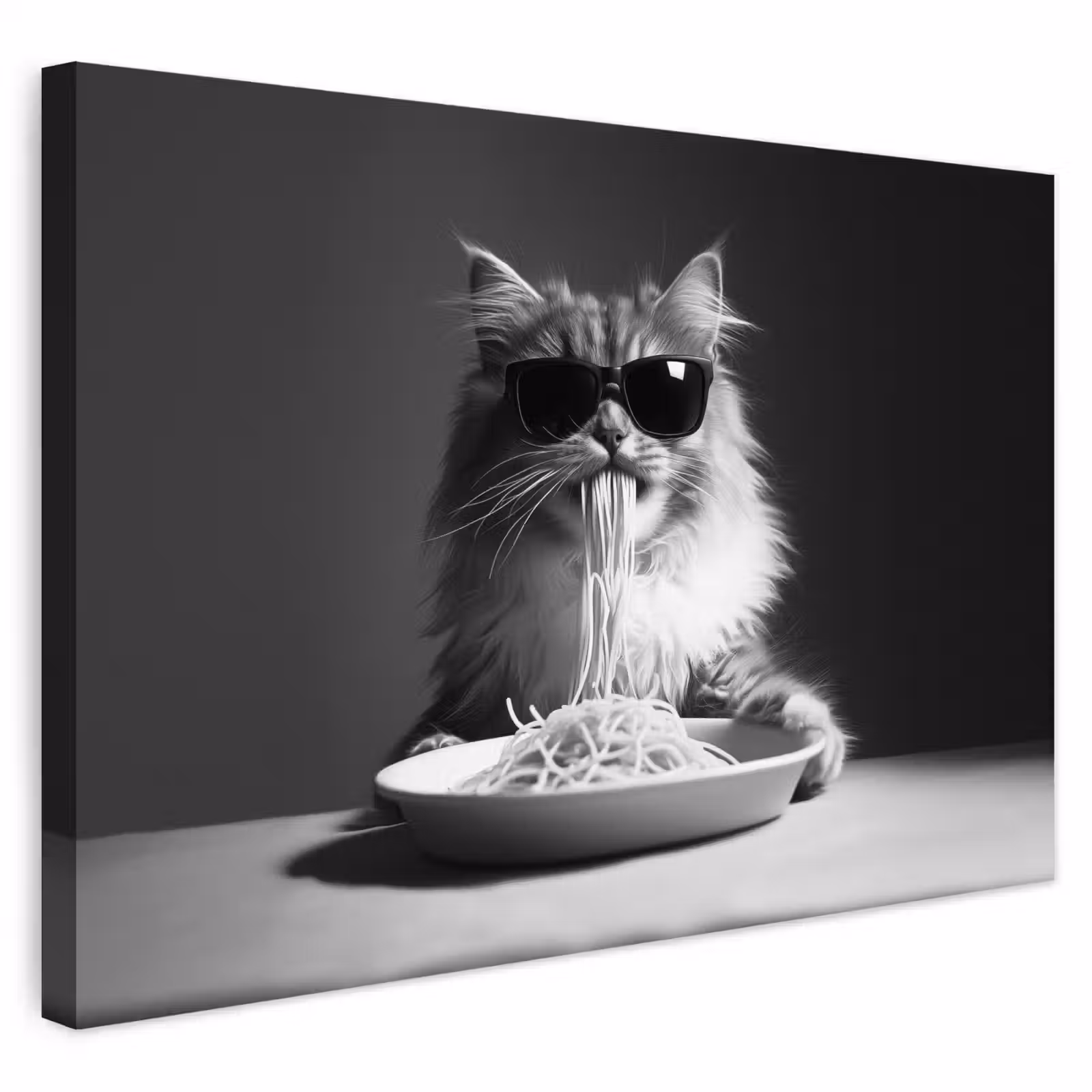 Buiten canvas - Langharige kat - Zonnebril - Spaghetti - Humor - Zwart - wit — 1
