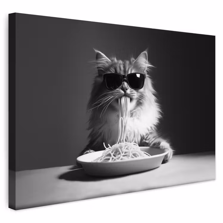 Buiten canvas - Langharige kat - Zonnebril - Spaghetti - Humor - Zwart - wit — 1