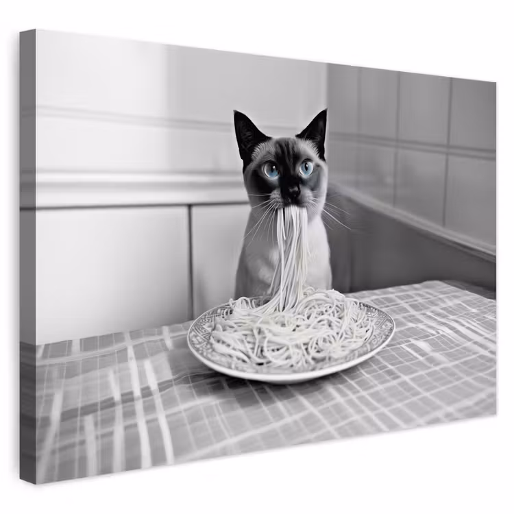 Buiten canvas - Kat - Siamees - Zwart Wit - Schattig - Dieren — 1