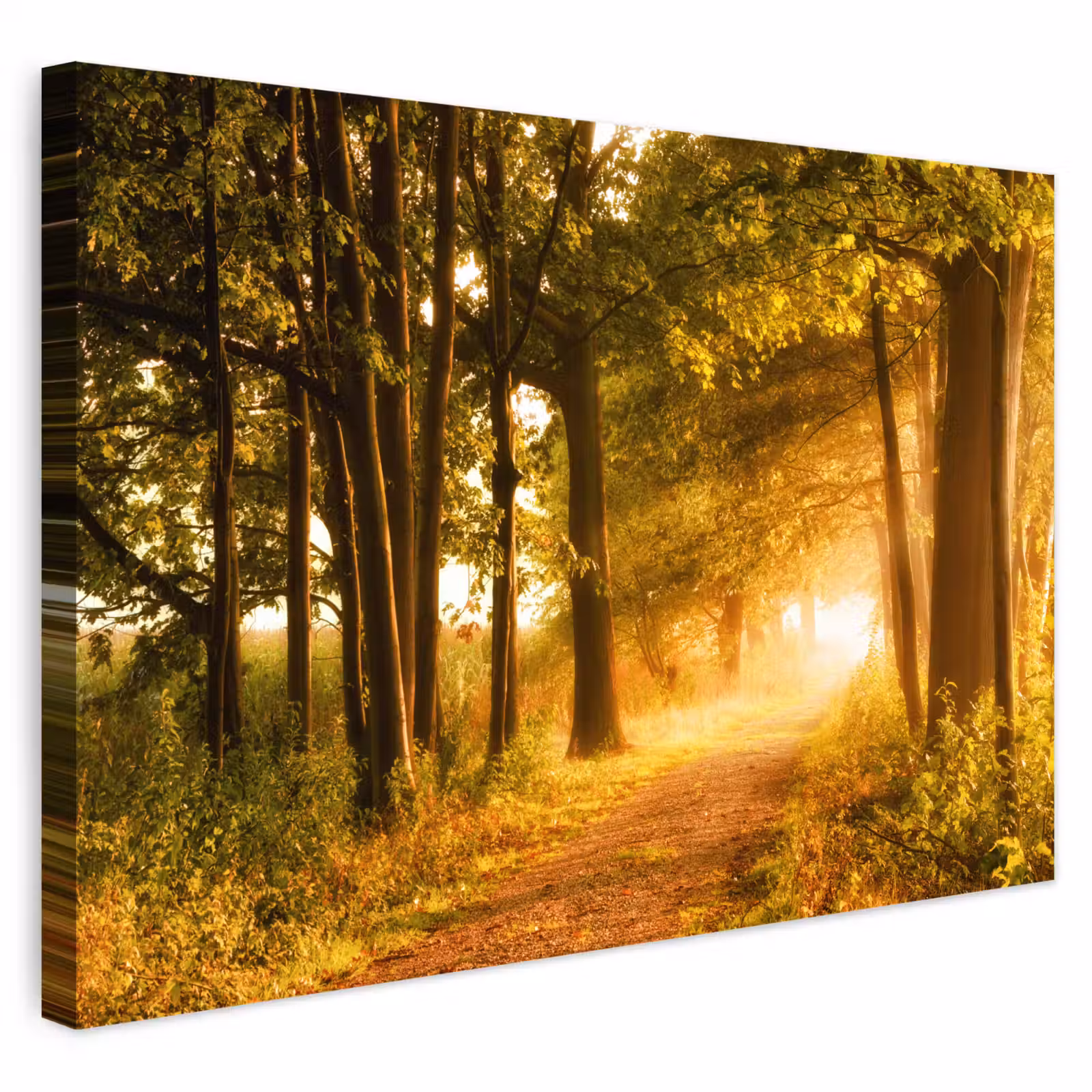 Buiten canvas - Bos - Bomen - Zonlicht - Herfst - Bospad - Natuur — 1