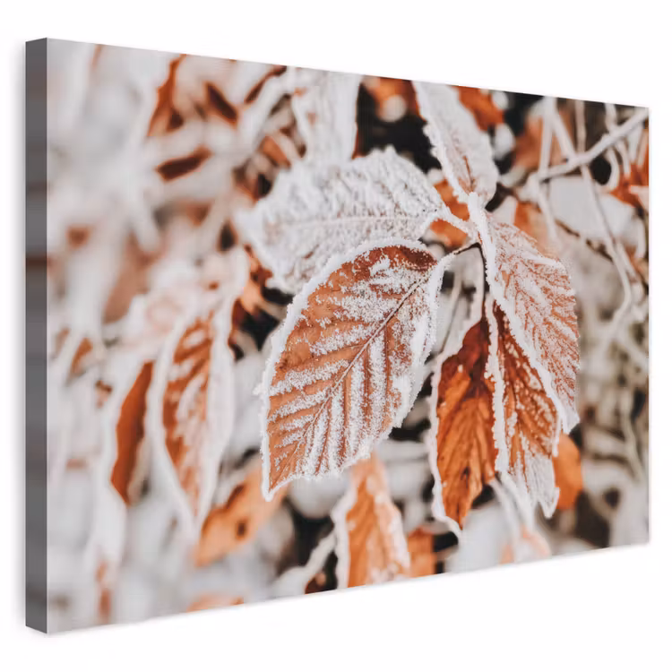 Buiten canvas - Bladeren - IJs - Winter - Natuur — 1
