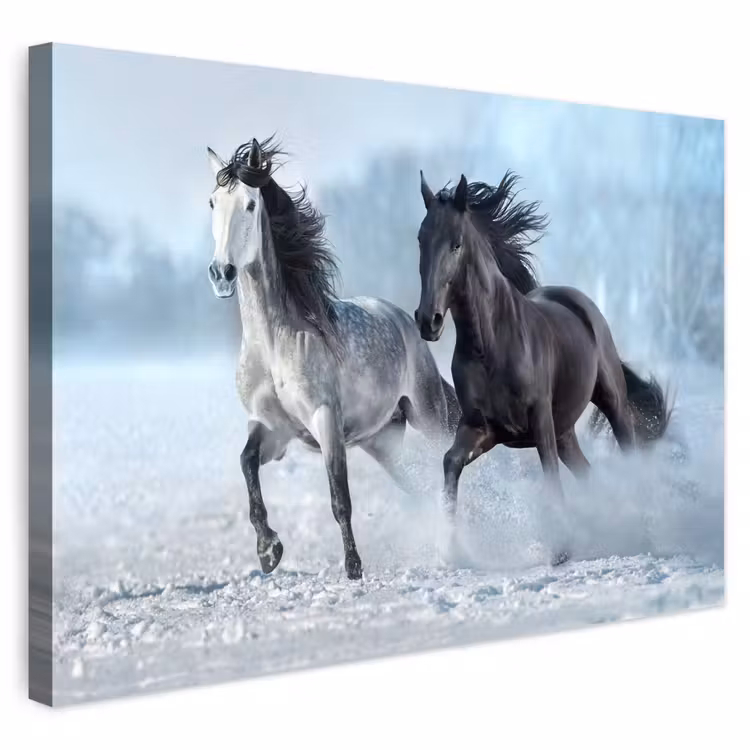 Buiten canvas - Paarden - Winter - Dieren - Natuur - Sneeuw — 1