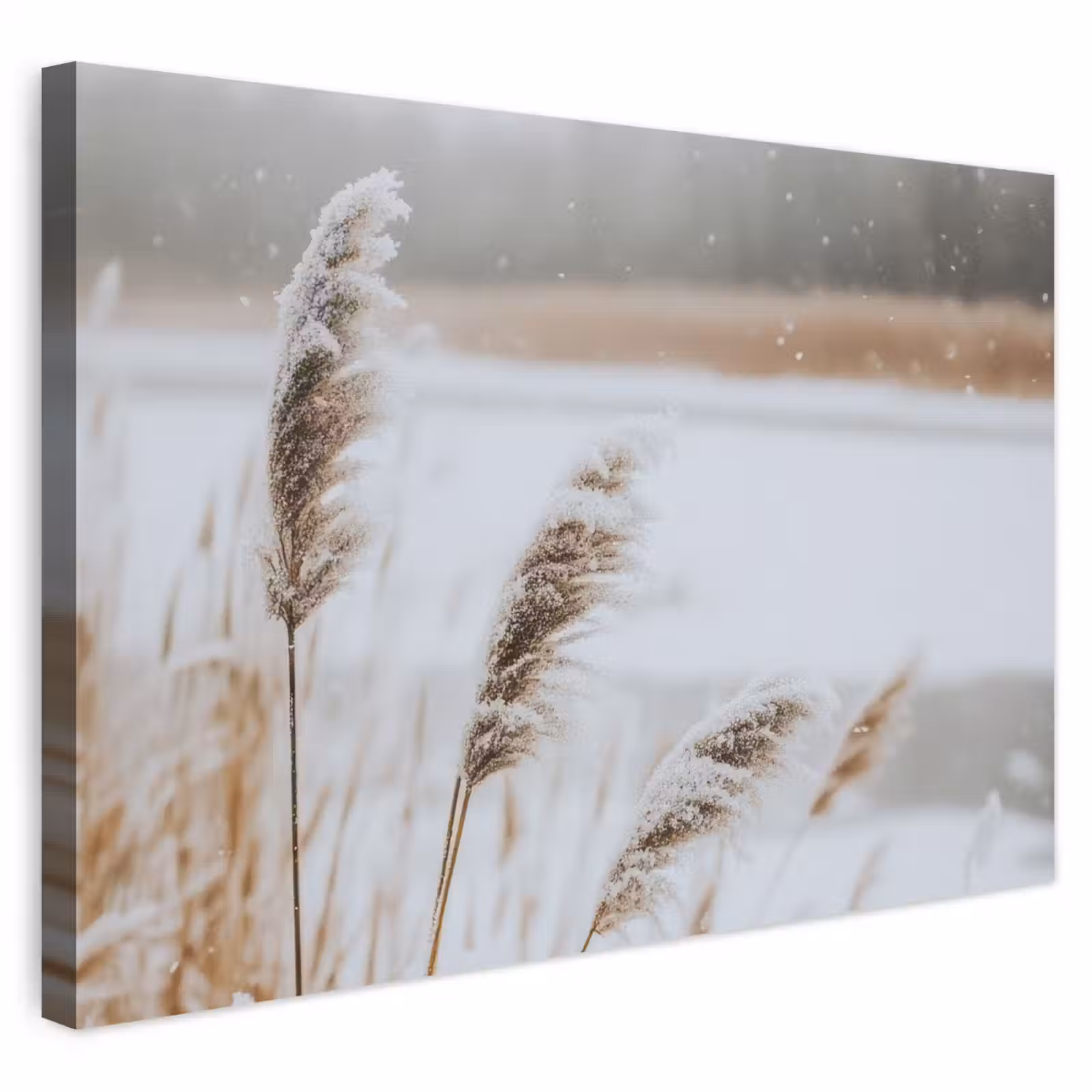 Buiten canvas - Riet - Meer - Winter - Natuur - Sneeuw - Beige — 1