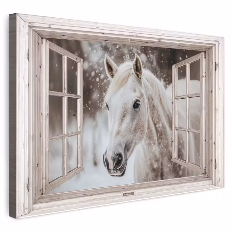 Buiten canvas - Paard - Wit - Winter - Sneeuw - Doorkijk - Dieren — 1