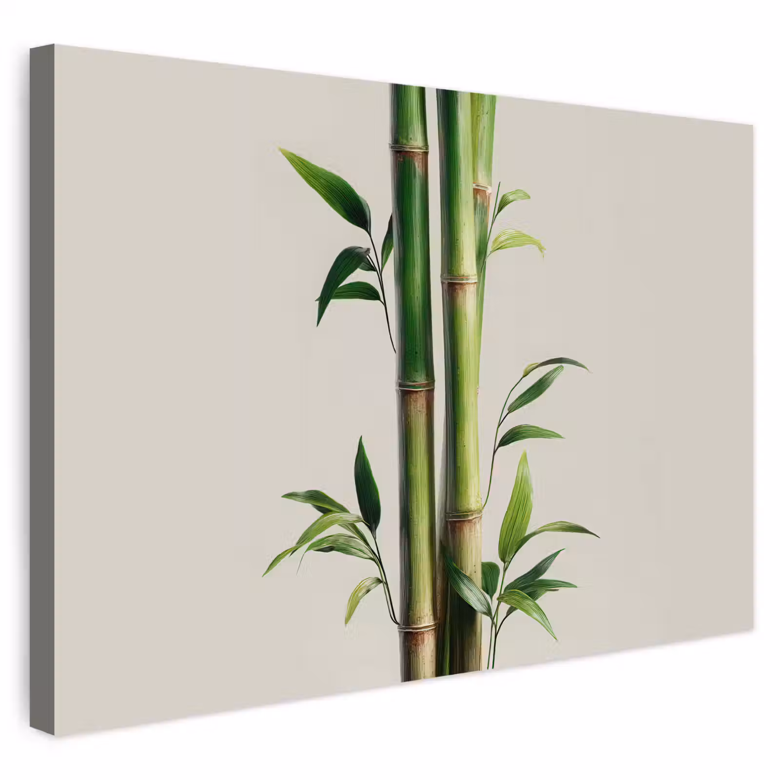Buiten canvas - Bamboestengels - Sierlijk - Groen — 1