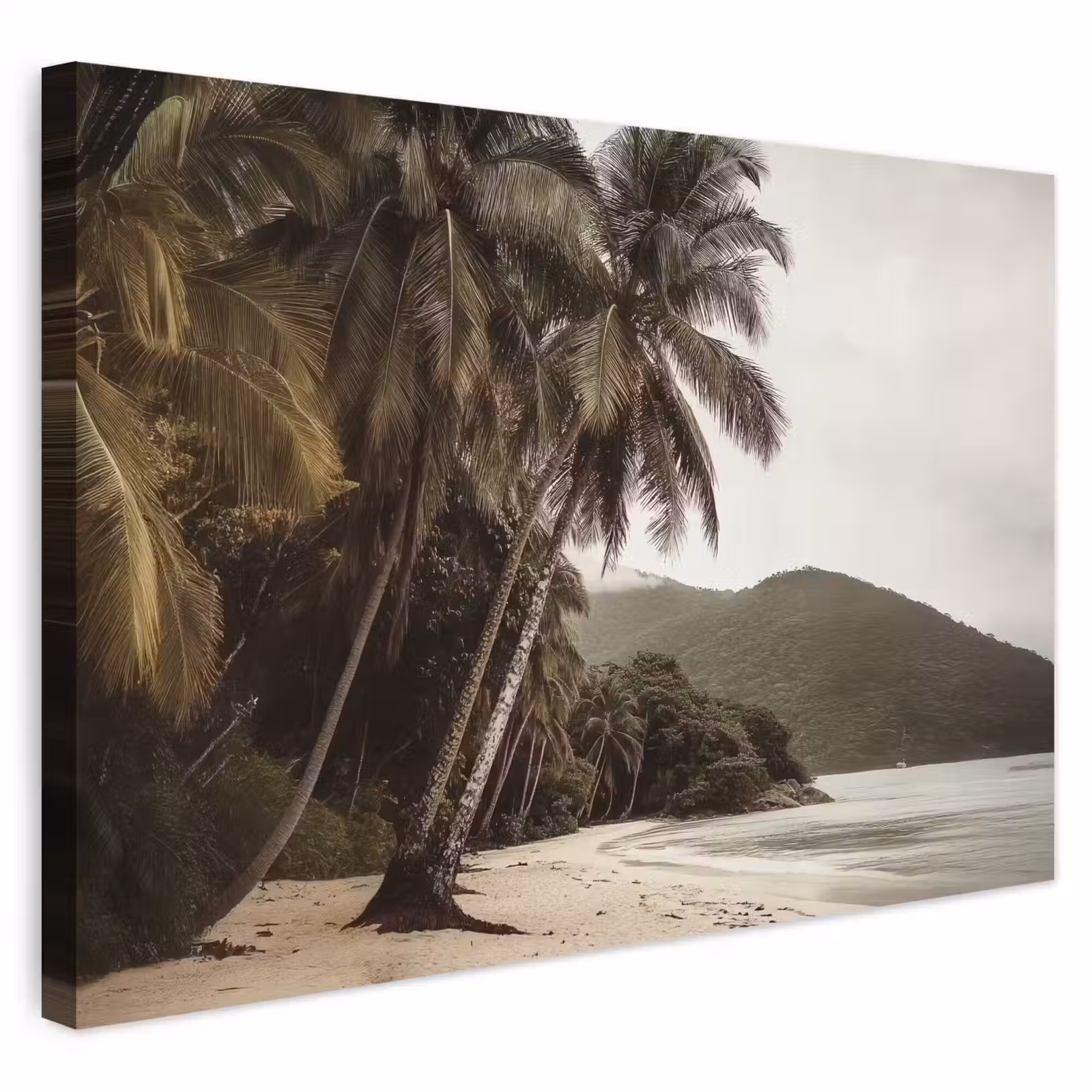 Buiten canvas - Eiland - Palmboom - Zee — 1