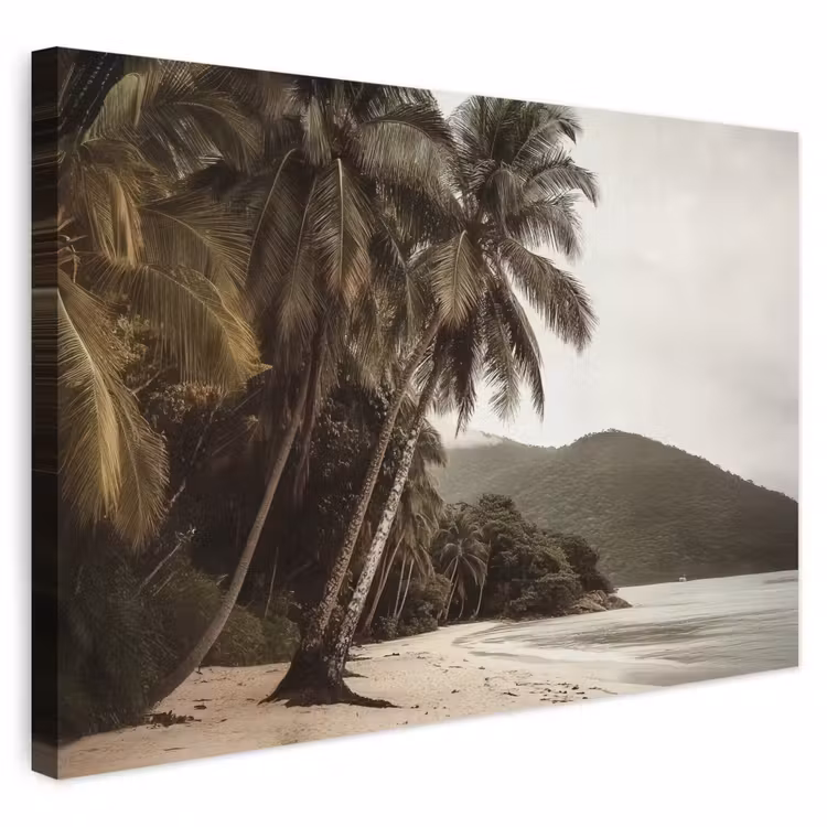 Buiten canvas - Eiland - Palmboom - Zee — 1