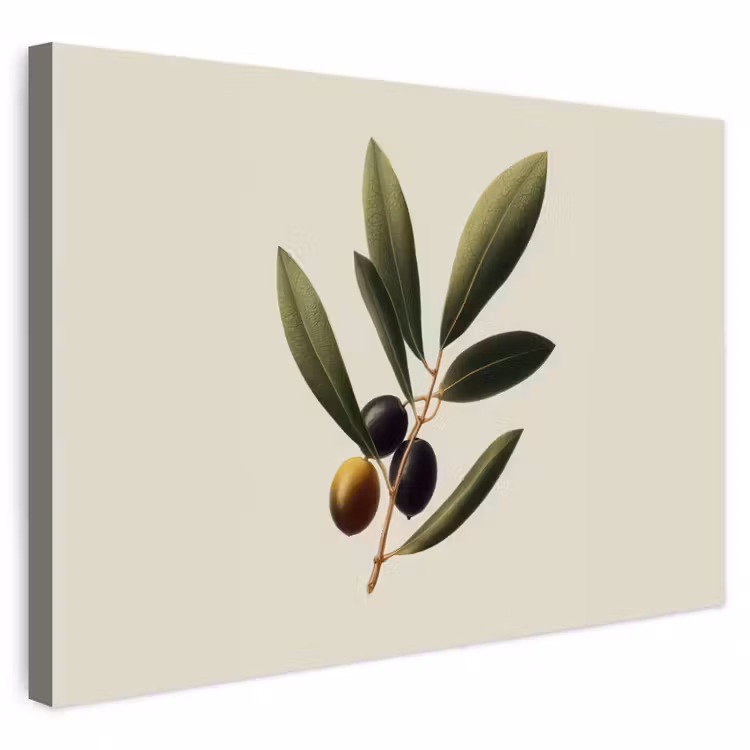Buiten canvas - Olijftak - Donkergroen - Olijven — 1