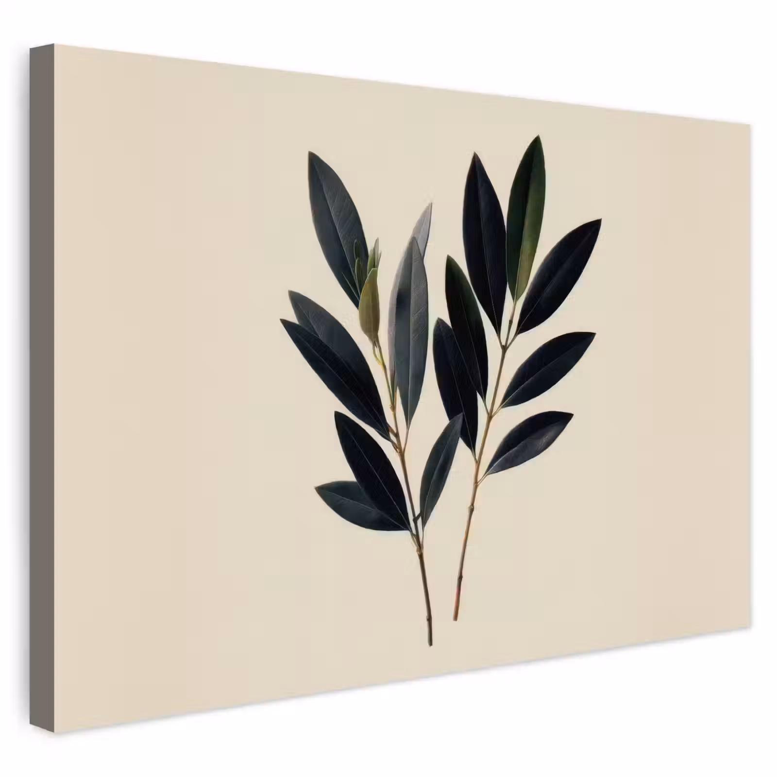 Buiten canvas - Ovaalvormige bladeren - Diep groen - Symmetrisch — 1