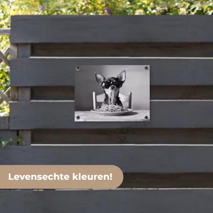 Tuinposter - Chihuahua - Hond - Zonnebril - Humoristisch - Zwart - Wit - Spaghetti — 6