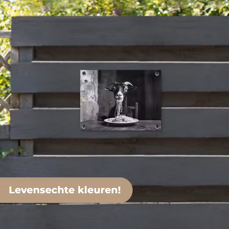 Tuinposter - Geit - Bord - Spaghetti - Zwart Wit — 6