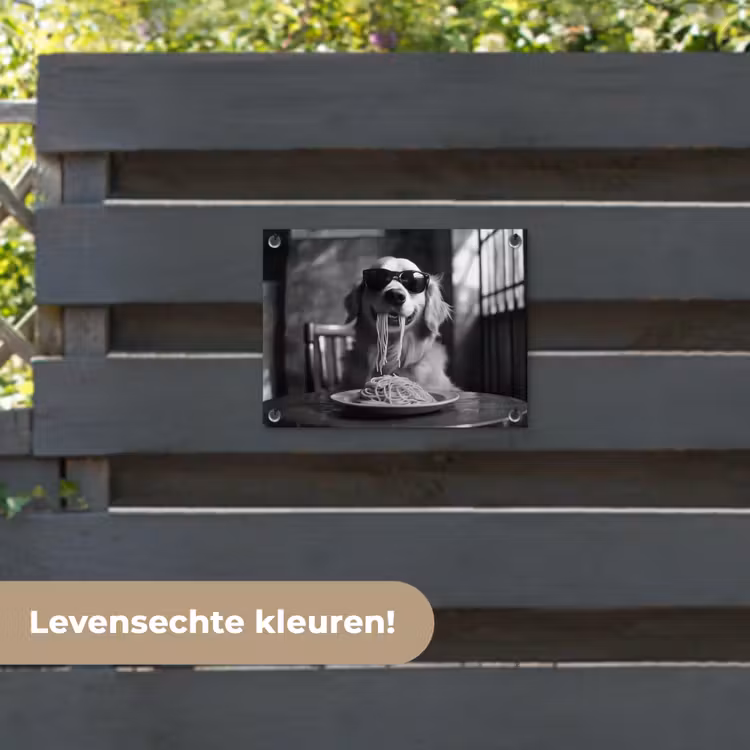 Tuinposter - Golden Retriever - Hond - Vrolijk -  Bord spaghetti - Zwart - wit — 6