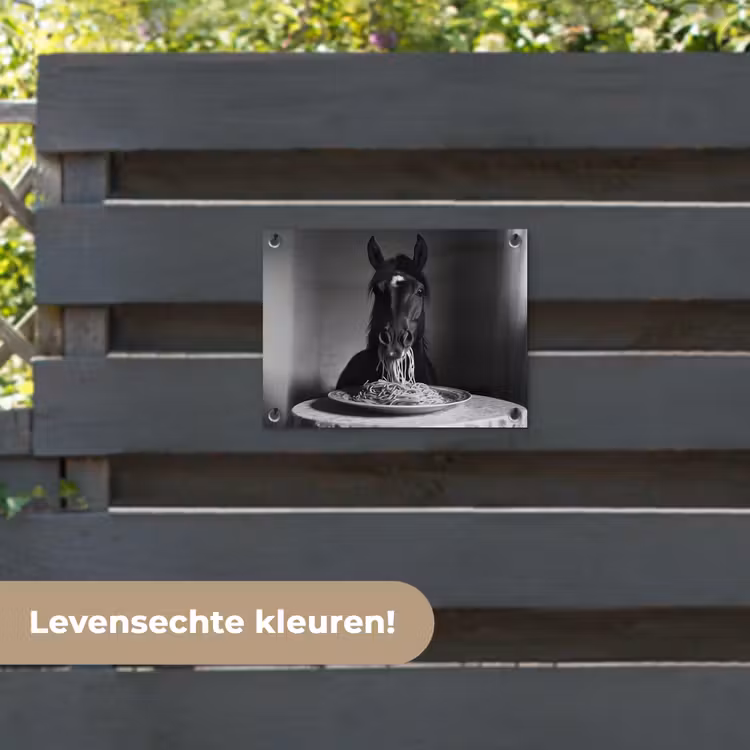 Tuinposter - Paard - Bord - Pasta - Tafelkleed - Zwart Wit - Dieren — 6